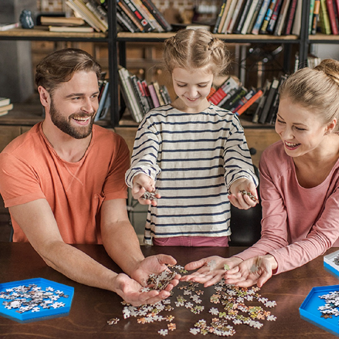 Puzzle Sorting Trays: The Ultimate Guide to Organizing Your Puzzle Pieces like a Pro
