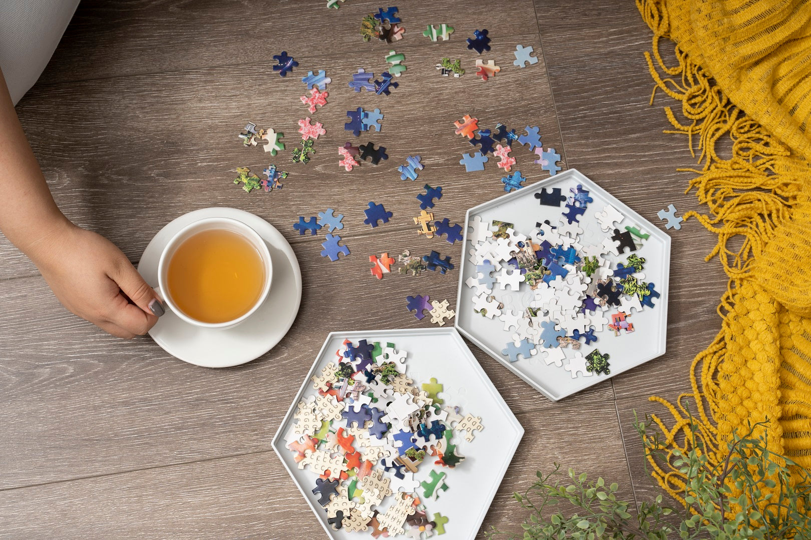 What To Use for Puzzle Sorter Pieces?